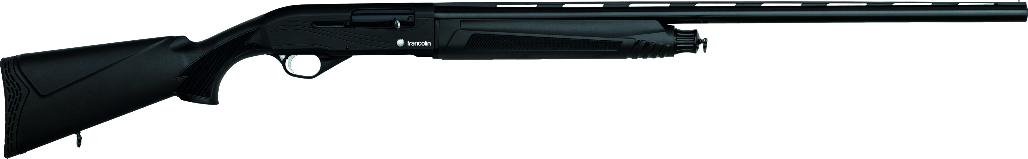 Francolin Pomarina Sport